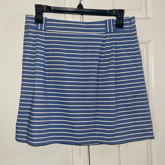 The Limited Dresses & Skirts - NWT! The Limited Blue and White Stripe Skirt - Size 6